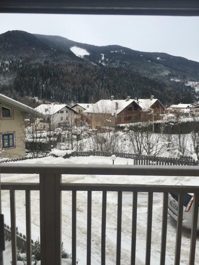 Appartamento Bosco Dei Veli بانتشيا المظهر الخارجي الصورة